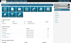 web-app-design